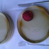 6 honey sandstone plates speckled