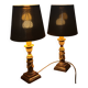 Pair of Empire Style Table Lamps with Patinated Black Bronze and Gilded Mounts