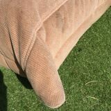 Whole line Roset Togo