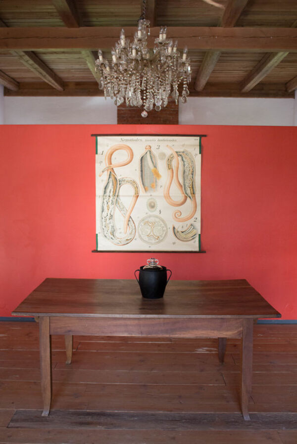 Affiche vintage du début du 20e siècle Paul Pfurtscheller zoologiques mur graphique, ver