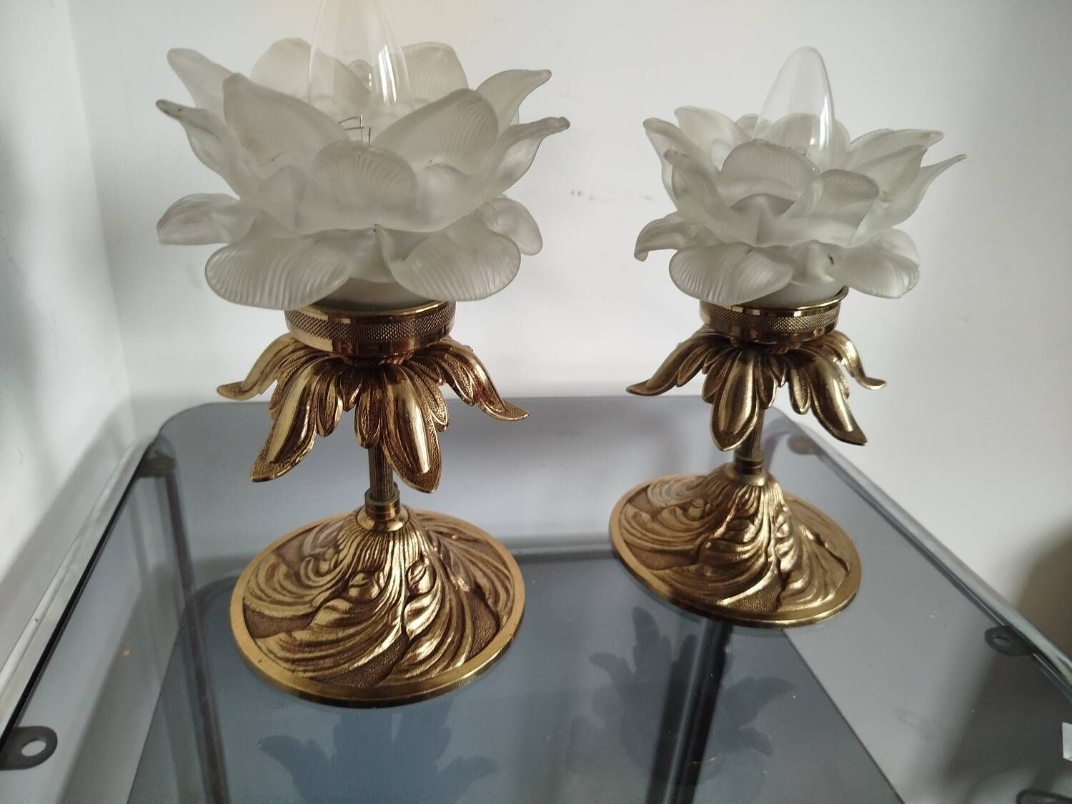 Pair of vintage floral wall lights or small pendant lights – glass deposition