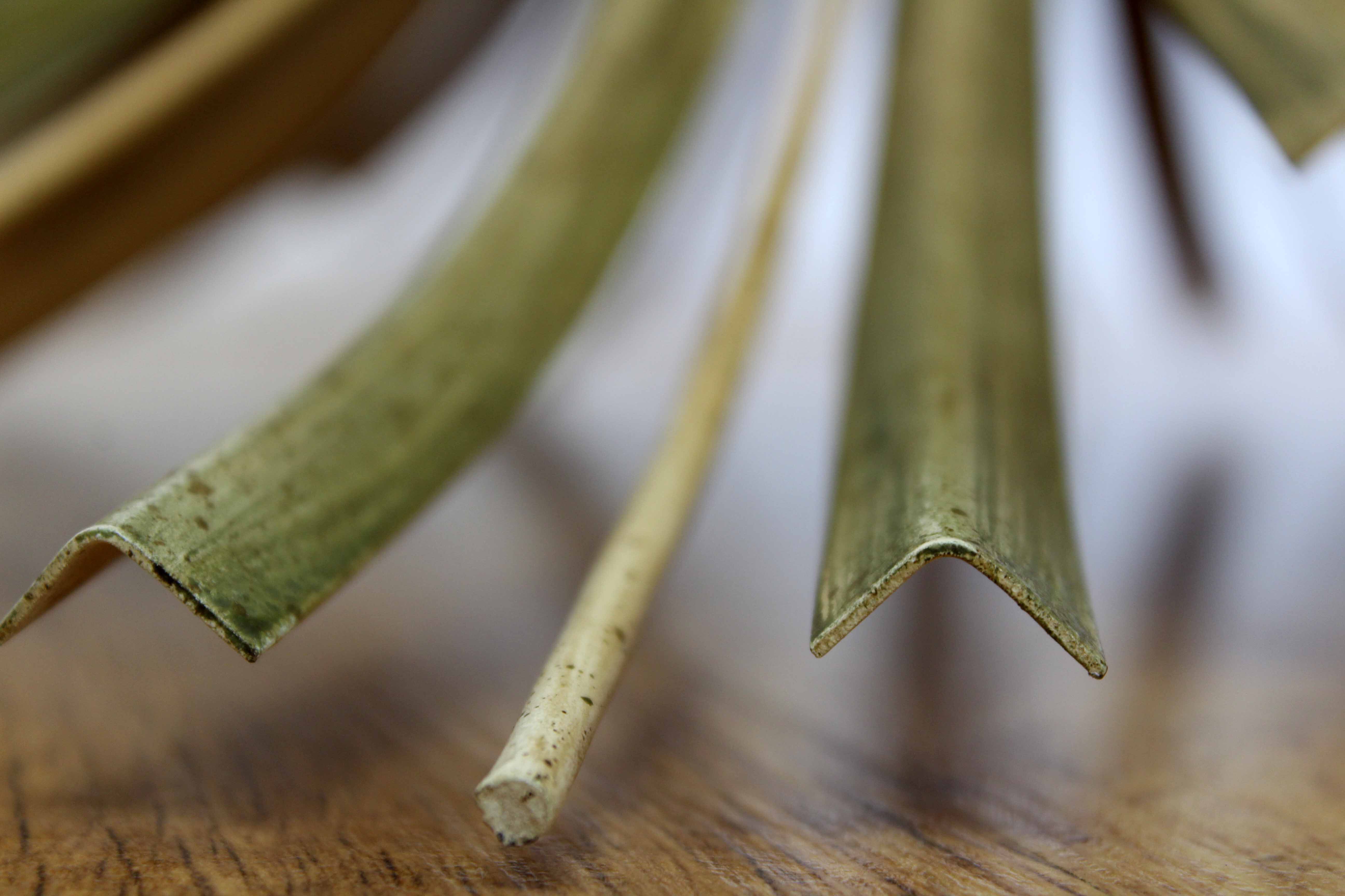 Table called Coco Chanel