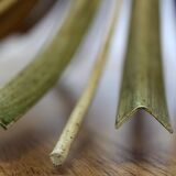 Table called Coco Chanel