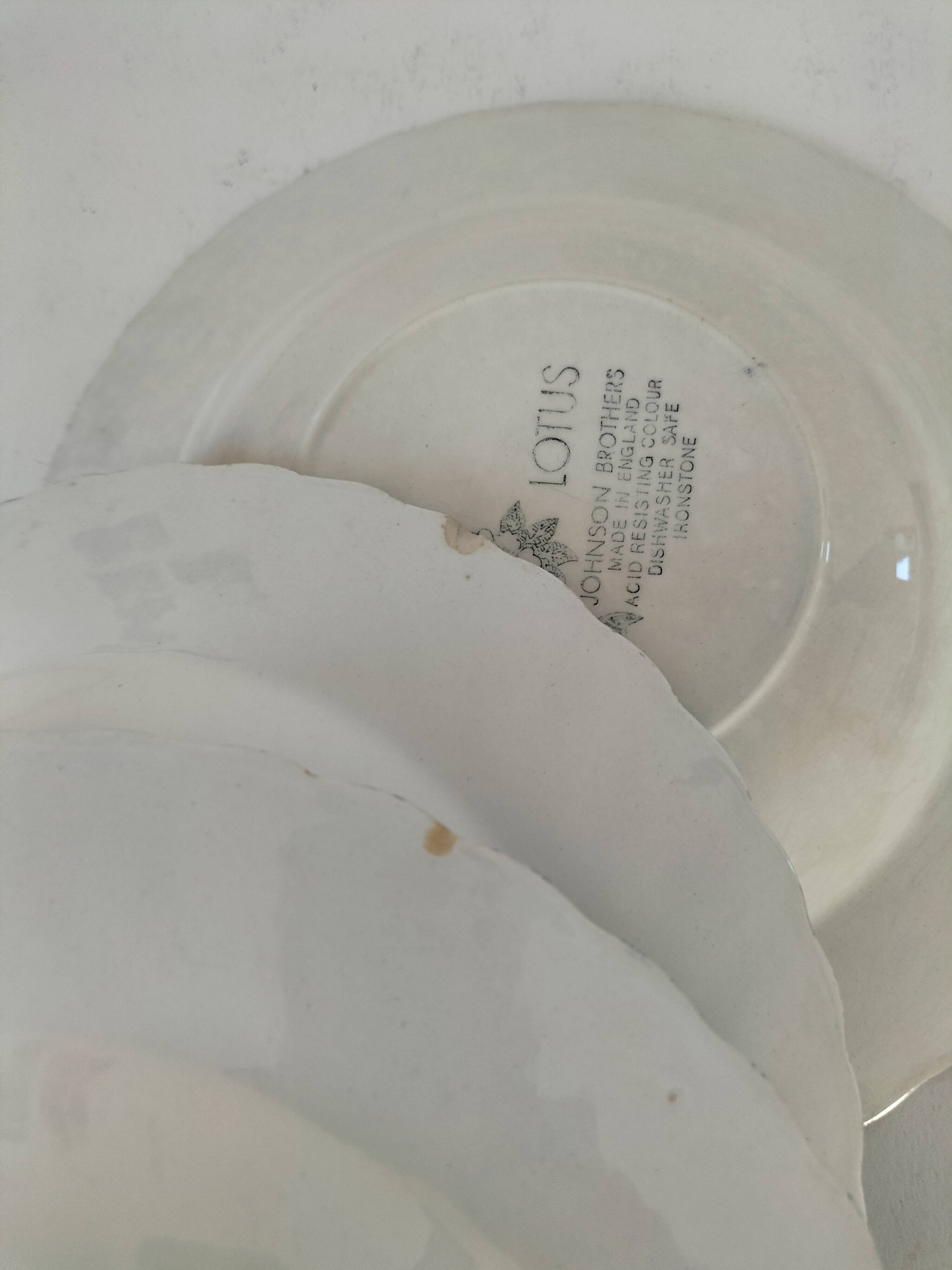 9 Johnson Brothers plates in the Lotus pattern.