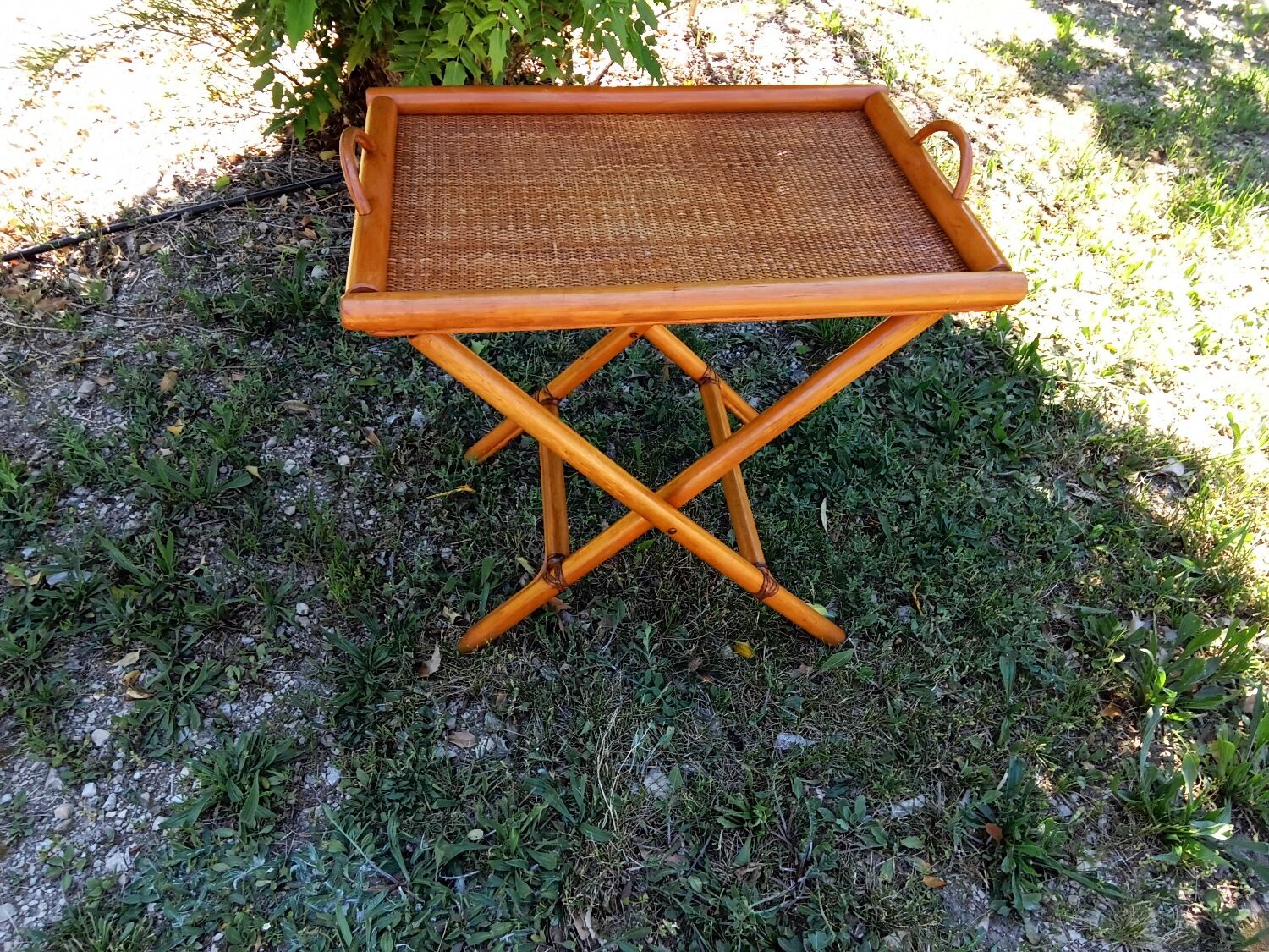 Bamboo and rattan service