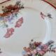 Polychrome ironstone plate from Saint-Amand and Hamage, Poppies model.
