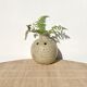 Stoneware flower spike ball vase