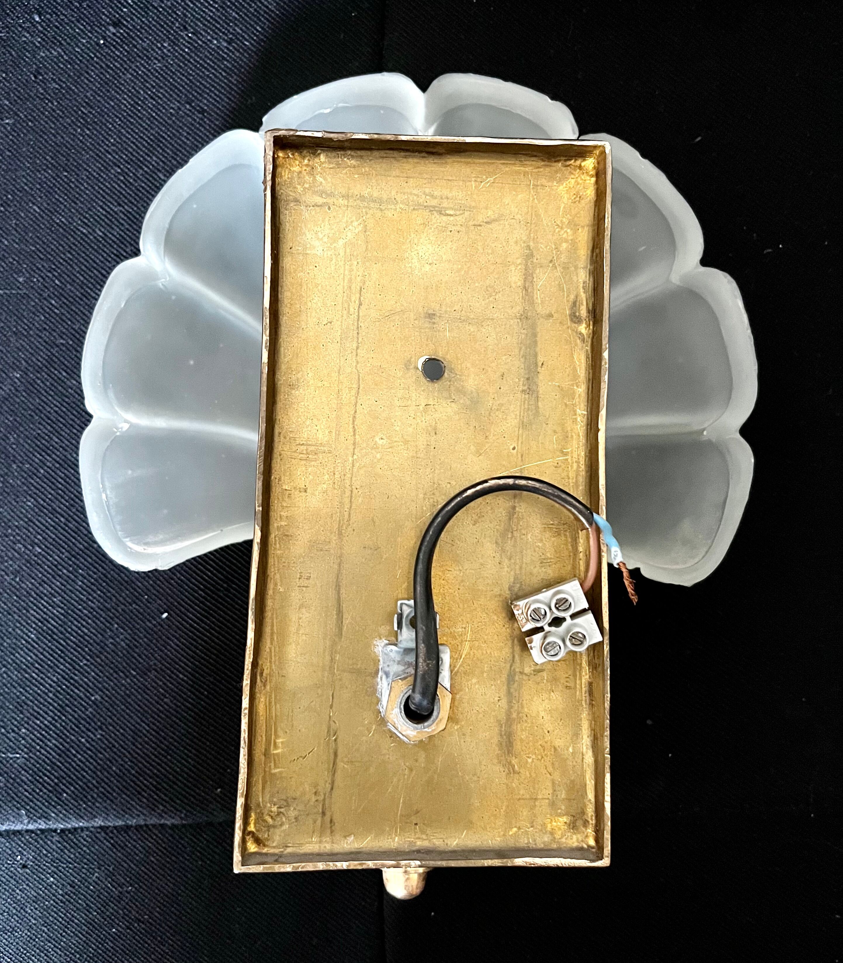 Shell wall lamp