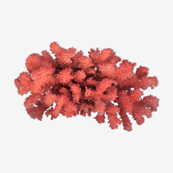 Old coral tinted red