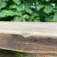 Old patinated farmhouse bench