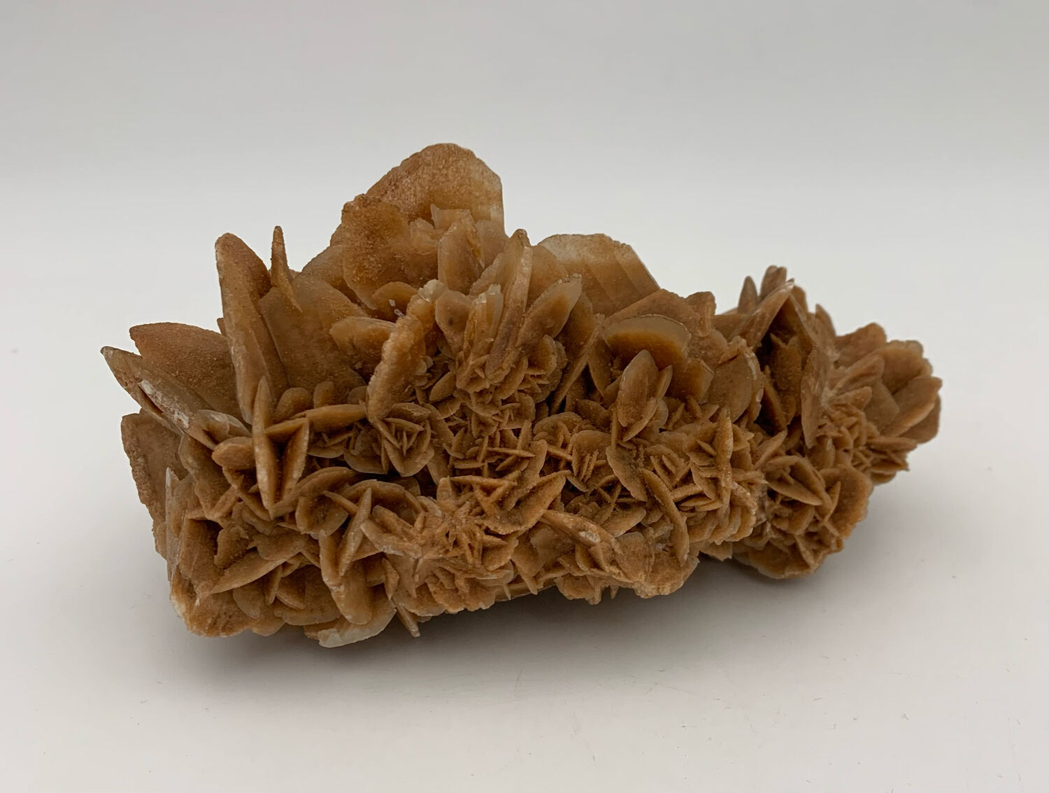 Sand rose, 555 grams, 16 cm x 9 cm