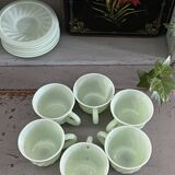 Mint cups and saucers