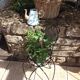 Plant holder "chair" in wrought iron and earthenware / vintage 60s-70s