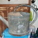 Vintage zing watering can