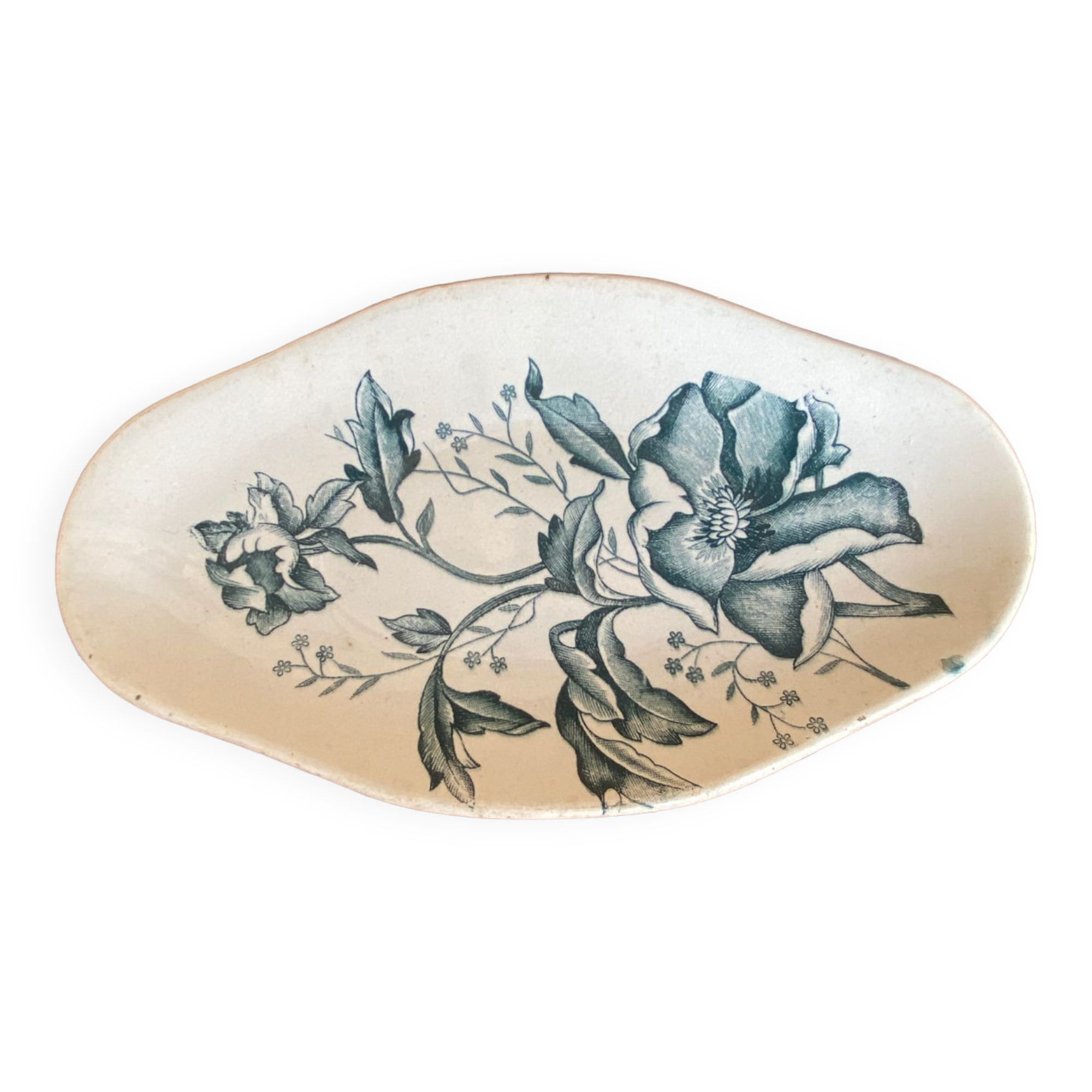 Iron earth ravier model "Christmas rose"