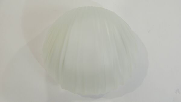 Applique murale coquillage vintage en verre opalin blanc – lampe murale ann