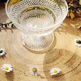 Glass cup on foot