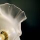 Suspension vintage lampshade in frosted glass (DEP01)