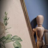 Litho rosier perfumers