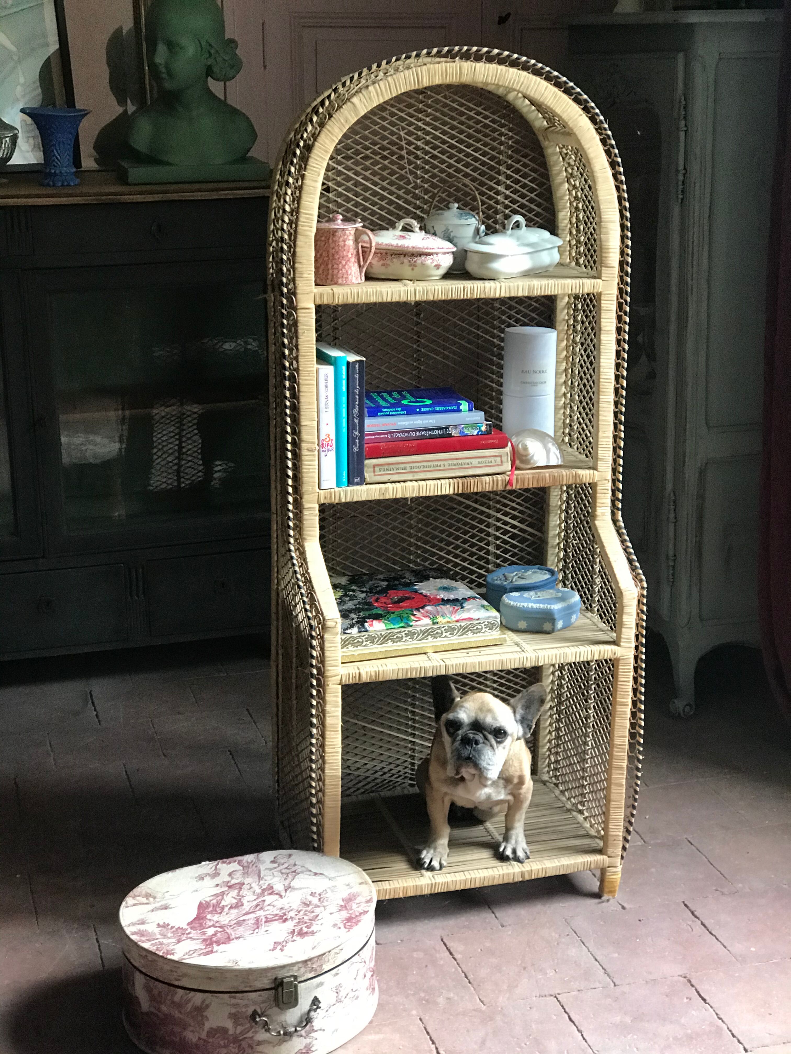 Vintage rattan cabinet