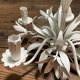 Vintage floral antique chandelier