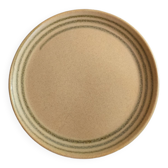 Set of 10 flat plates Sarreguemines