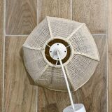 Cane suspension