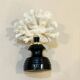 Antique natural white bush coral on wooden base Napoleon III cabinet of curiosities