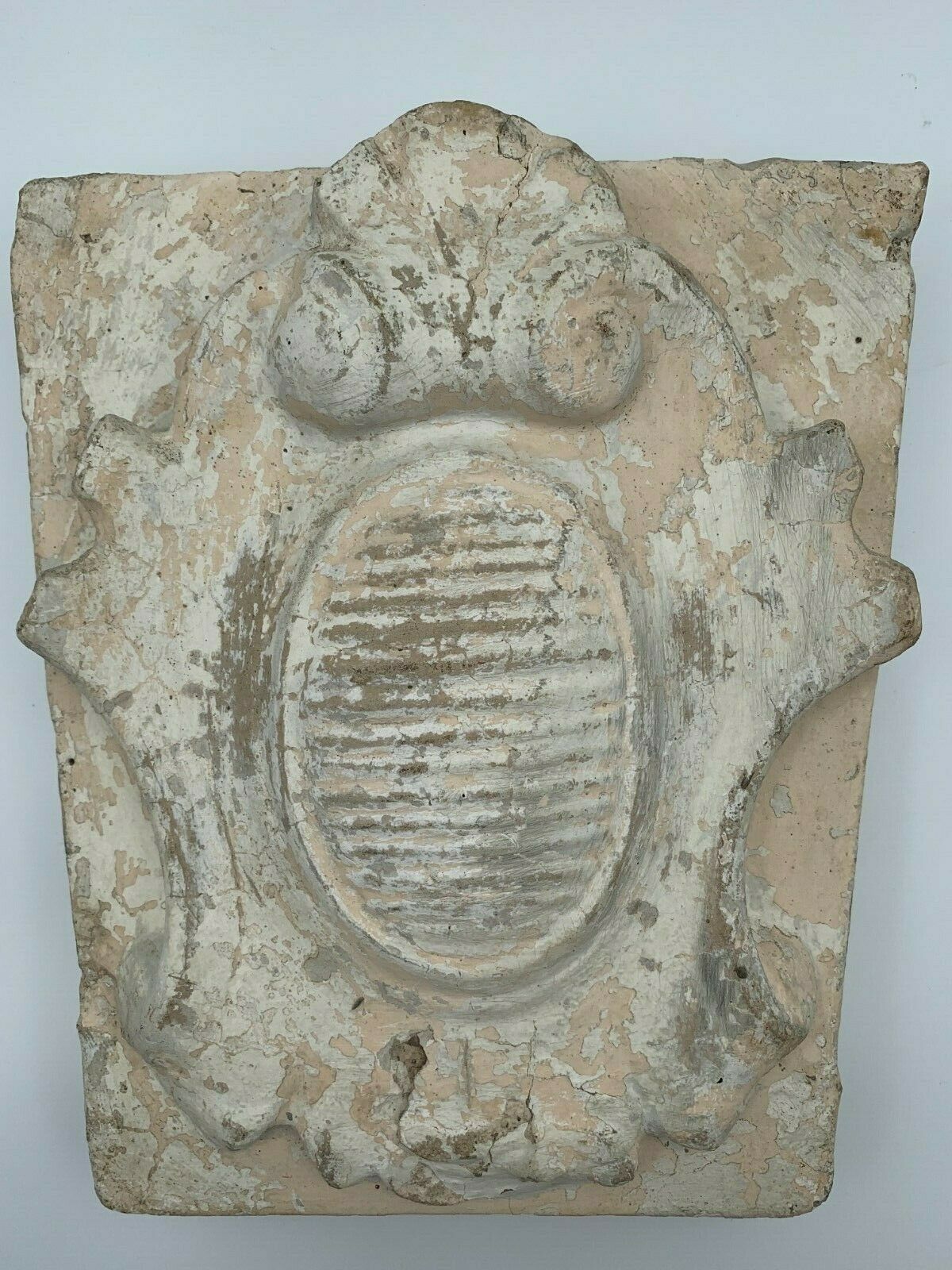 STONE SHELL 19TH PATINA OF ORIGIN SCULPTURE