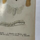 Affiche botanique gravure papillon naturaliste 19eme double face