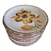 Set of 70's flower decorated plates