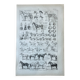 Planche “Cheval” - anatomie, allures, races 20x29cm