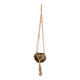 Shell plant holder