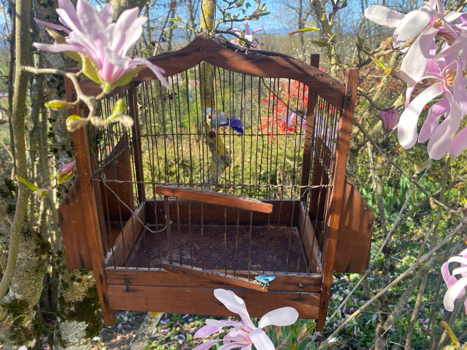 Antique wooden birdcage
