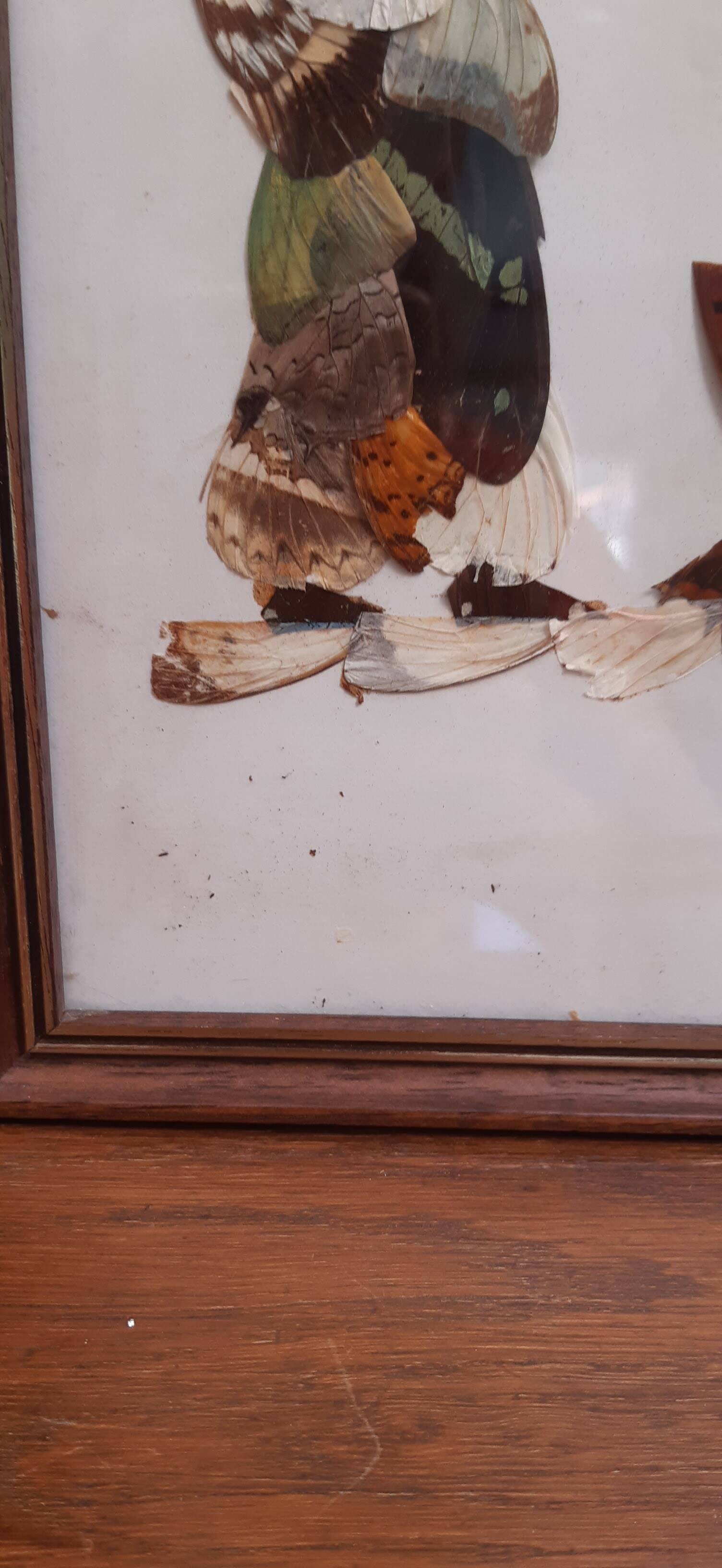 Set of 2 butterfly wing paintings