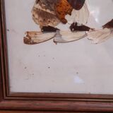 Set of 2 butterfly wing paintings