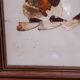 Set of 2 butterfly wing paintings