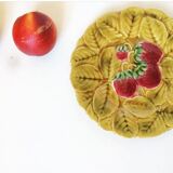 Duo flat plate Slurry pattern fruits
