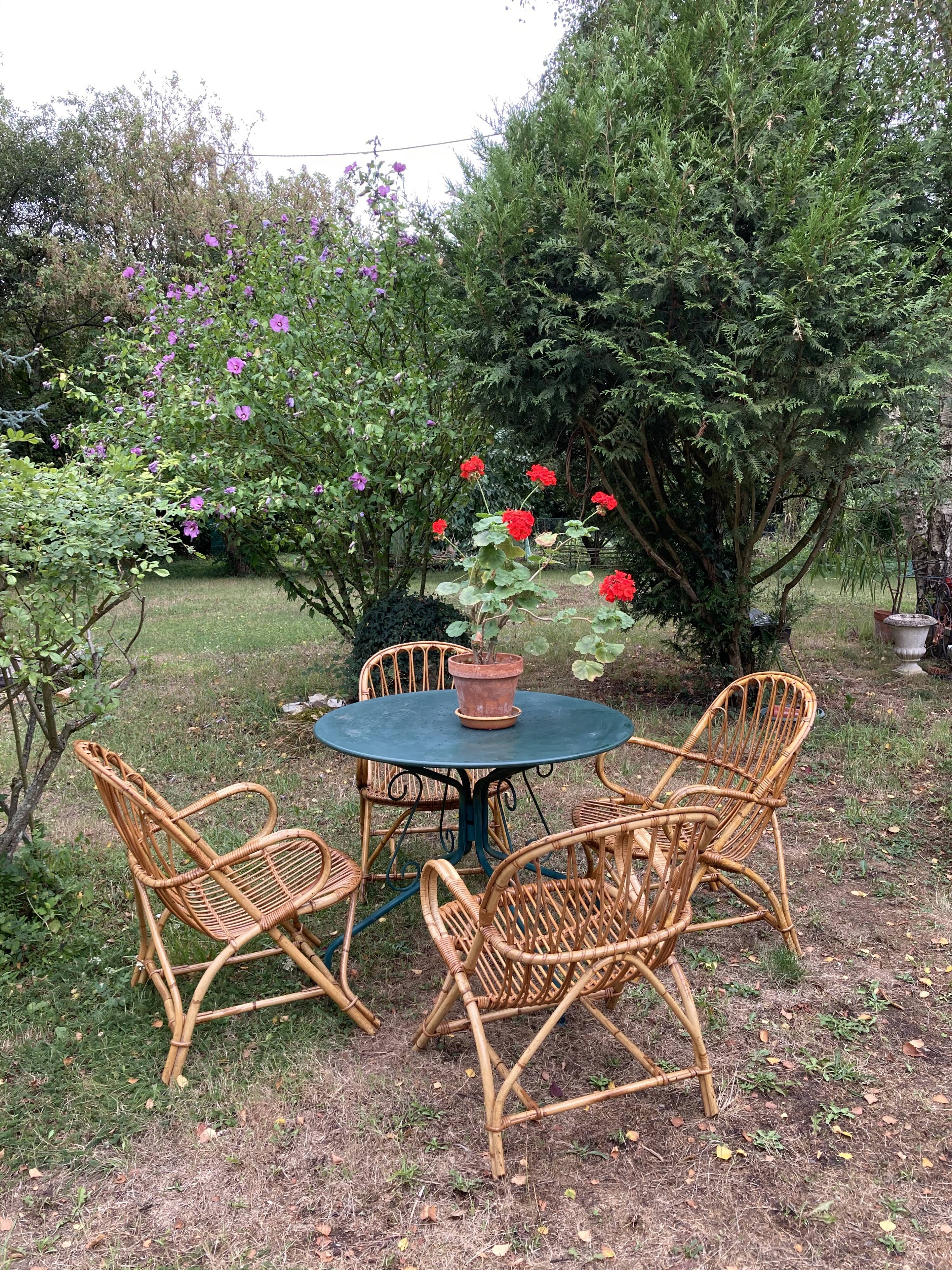 Lot de 4 fauteuils adultes en rotin