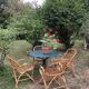 Lot of 4 adult rattan chairs
