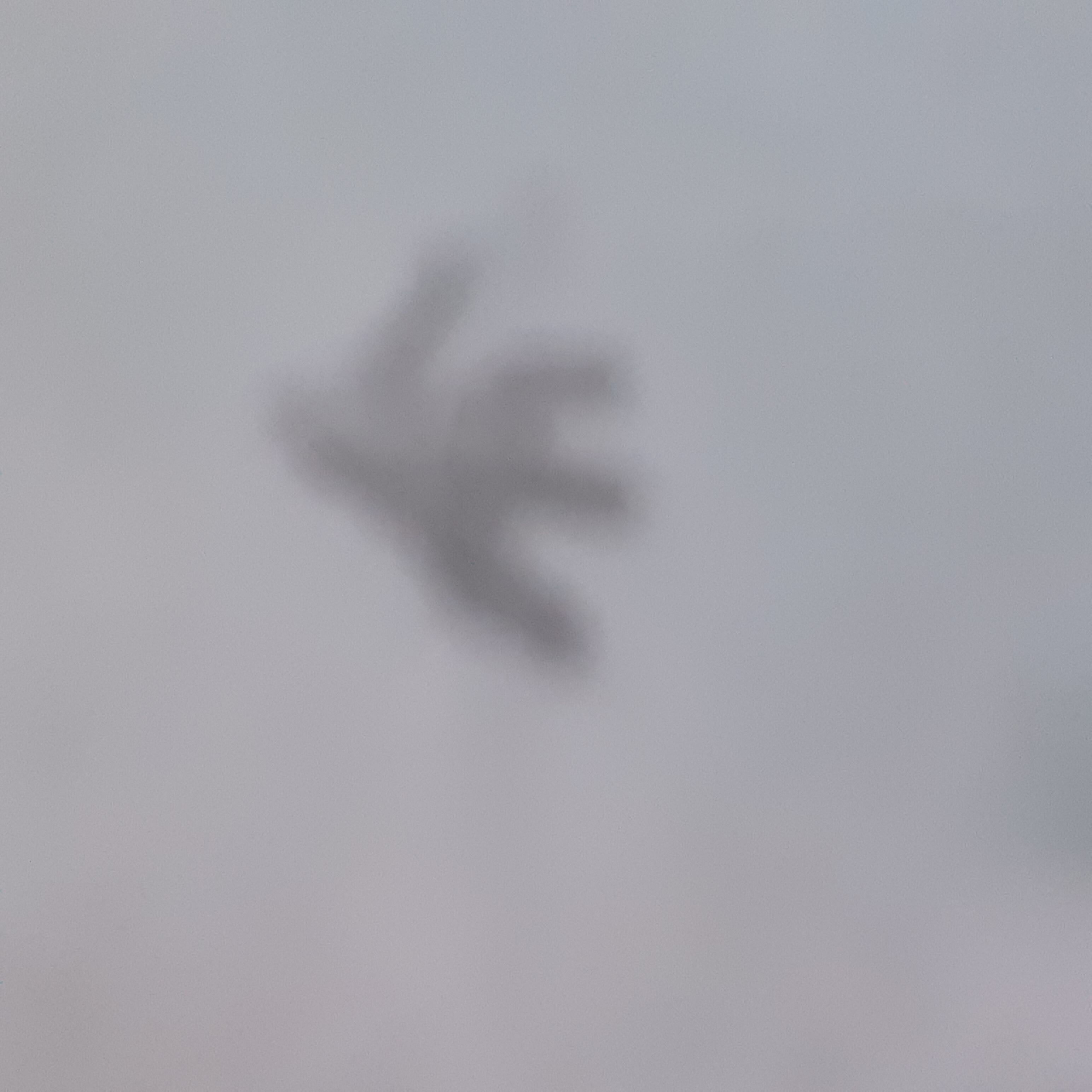 Light turquoise slip plate. Birds.