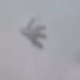 Light turquoise slip plate. Birds.