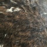 Authentic cowhide traditional tannery