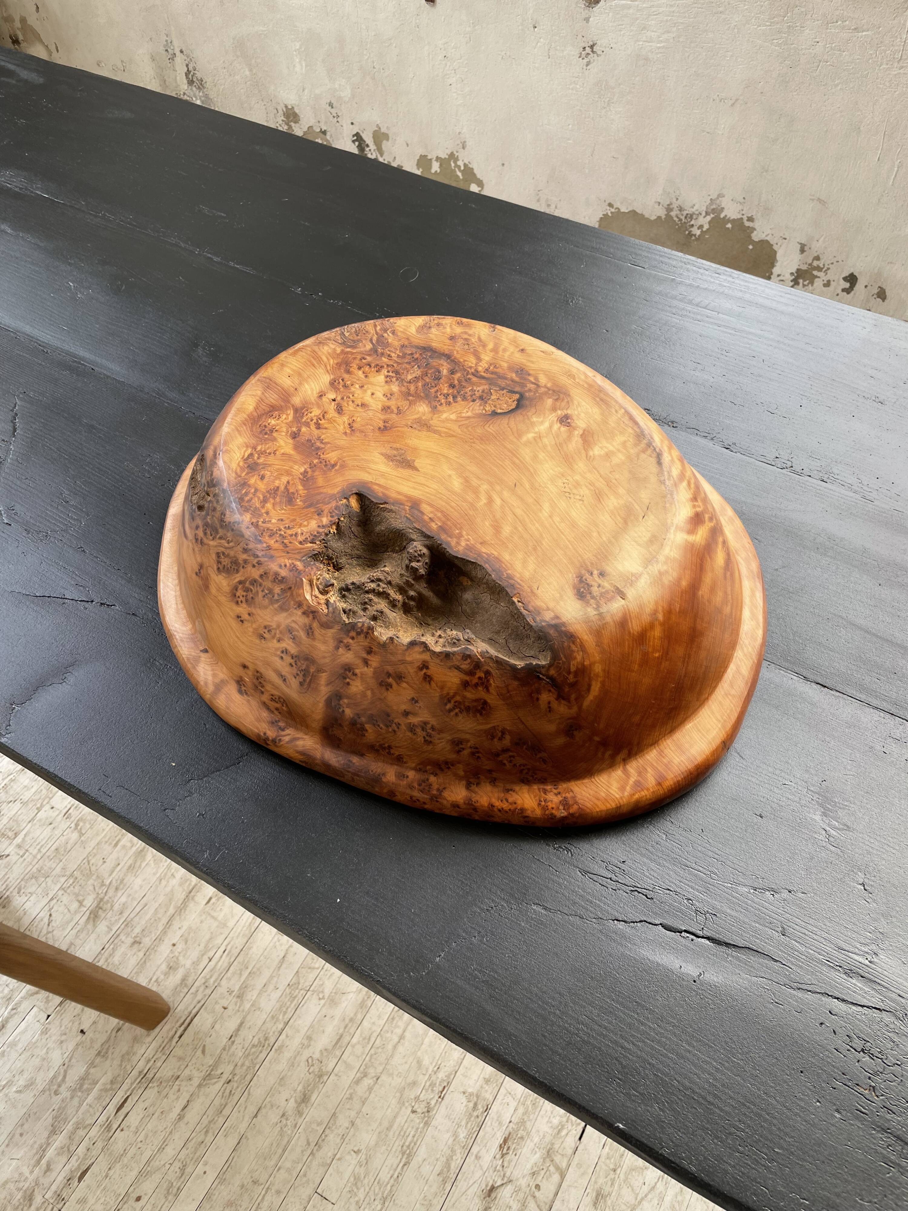XL thuja root wooden dish