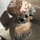 Bust young girl, old plaster