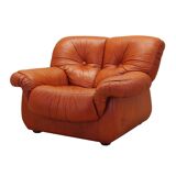 Lounge chair, Italian design, 1970s, manufacturer: PelleRossi