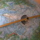 Globe Scan Globe