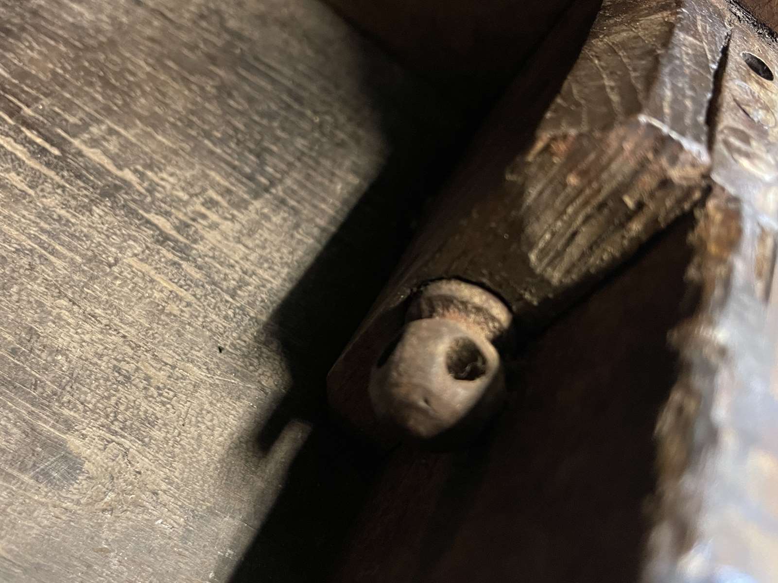 Open chestnut library late nineteenth century