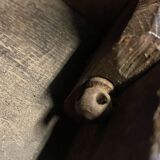 Open chestnut library late nineteenth century