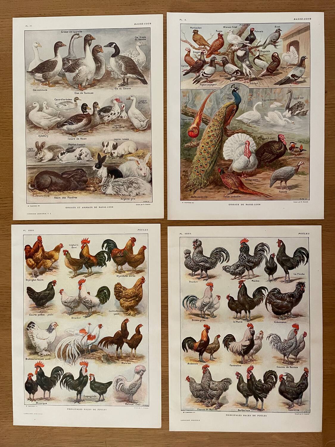 Reserved Zuzana - Set of 4 lithos on birds